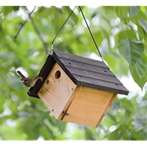 Wren House Mounting and Care – Nature's Way Bird 